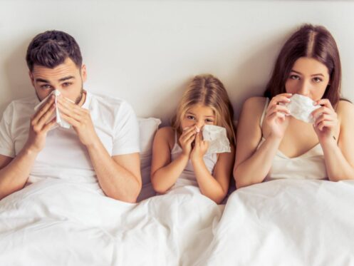 Indoor air quality solutions in Cleveland, TX